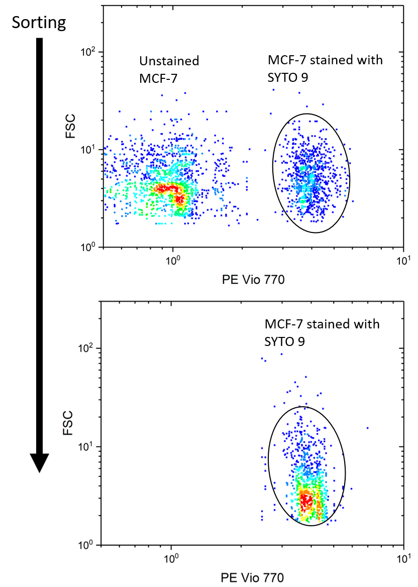 MCF-7 scatter plot