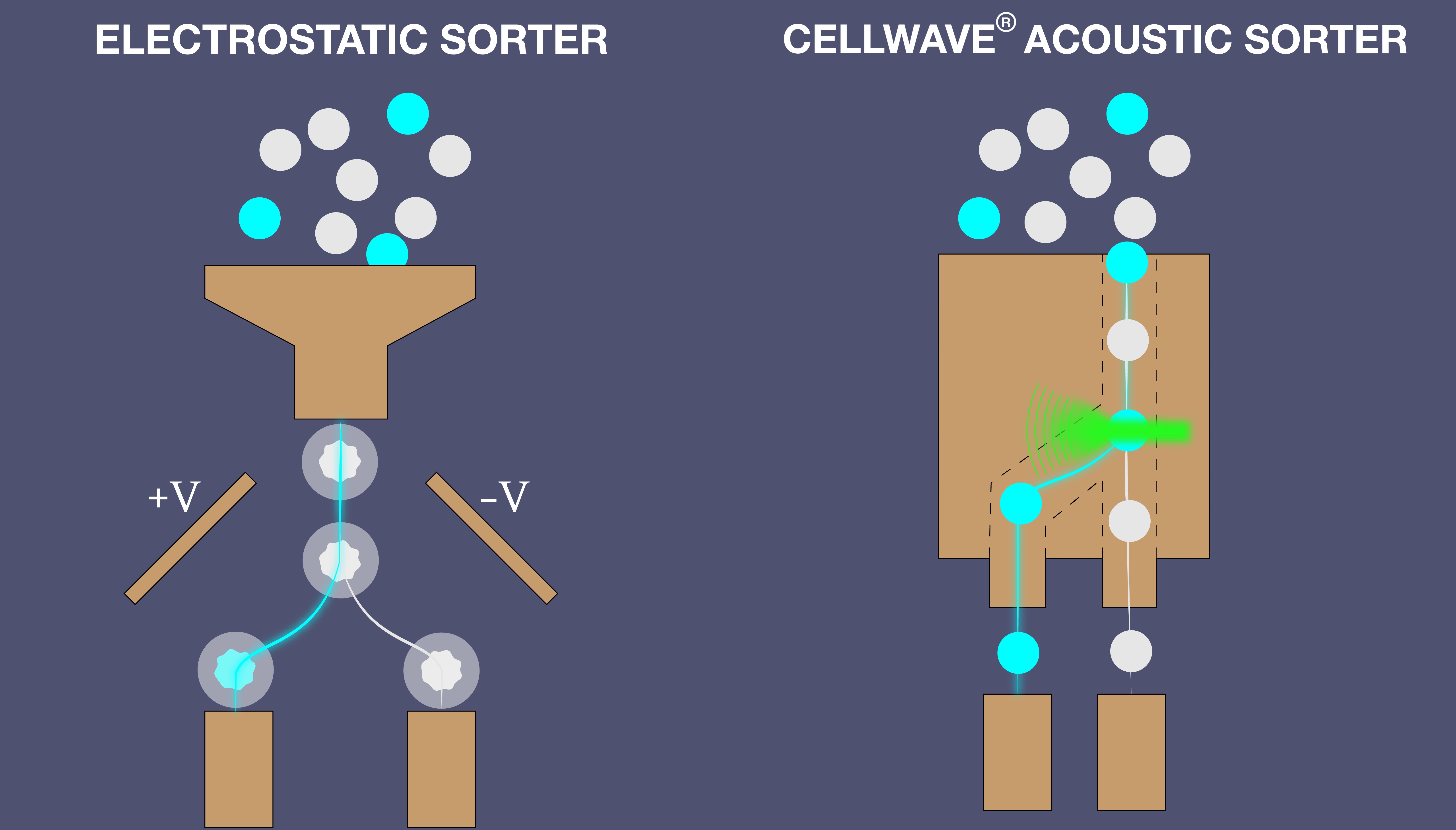 Cell Sorting Illustration