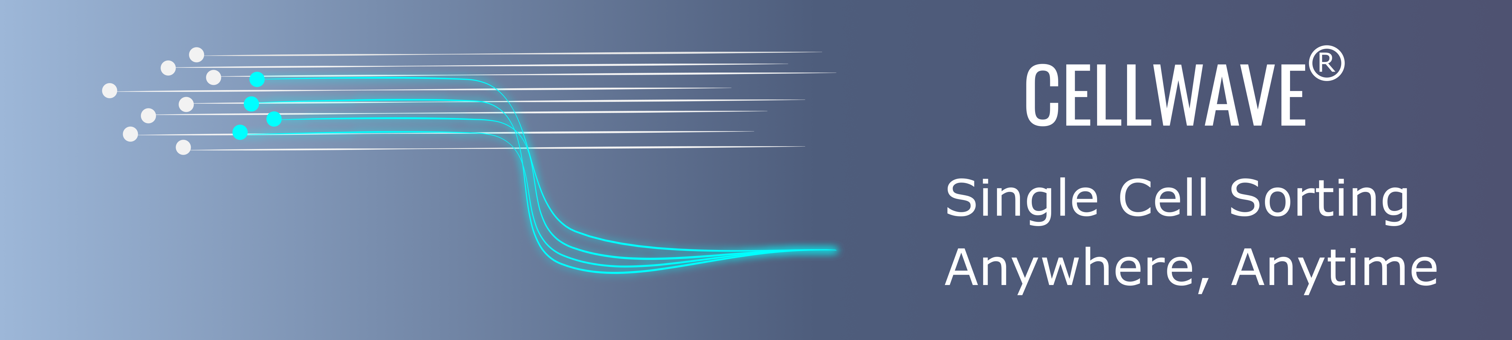 Home Banner